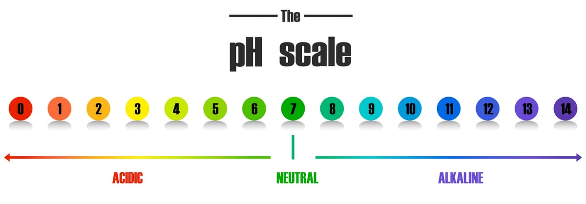 ph scale